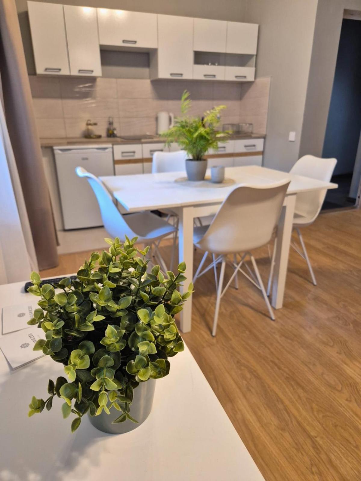 Guest House Saulgriezes Nīca 외부 사진